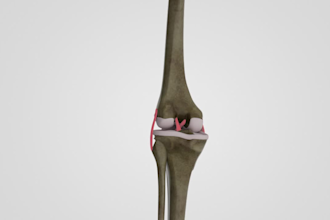 create scientific, medical, educational  3d product animation