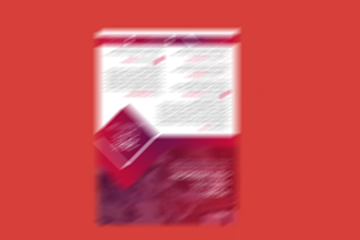 make corporate and marketing flyers for your business