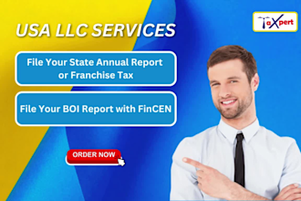 file your llc annual report in any state and boi report with fincen