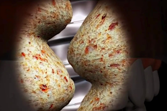 develop high quality 3d medical animations and precise 3d models