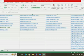 do targeted email scraping and lead generation job