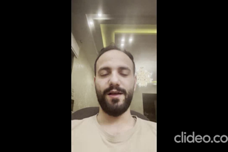 translate between arabic, english, and french professionally