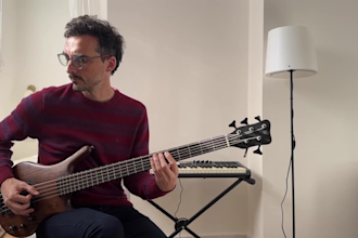 be your professional bass and fretless bass player