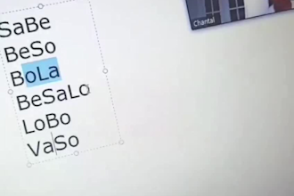 help you learn spanish from a native speaker either for class or for life