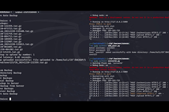 do cybersecurity and programming tasks