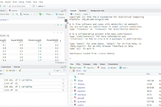 it support, python, excel