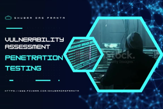 perform vulnerability assessment and penetration testing for website security