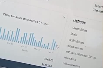 fully manage and scale your ebay dropshipping store