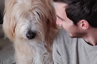 be your dog actor model or spokesperson