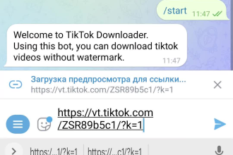 create tiktok video downloader chatbot in telegram without logo