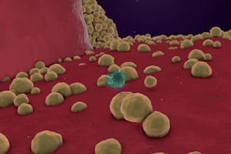 do 3d medical animation, 3d scientific animation, 3d laboratory animation