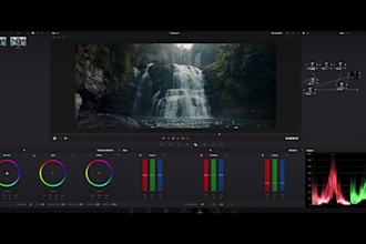 do professional color grading, enhance video quality with ai