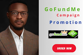 do gofundme crowdfunding campaign promotion to fundraise 7 figures donation