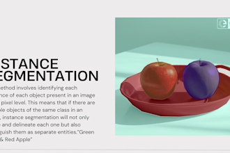 offer data annotation for ai model training