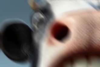 do viral dog, wolf story videos, animal pet ai cat for youtube short and tiktok