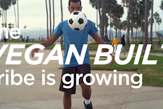 motion graphic or social media animated poster design videos