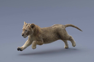 do photorealistic 3d animal animation, 3d animal model, 3d character design