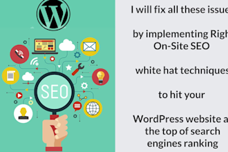 fix wordpress website SEO issues