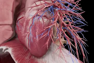 create realistic 3d medical, anatomy, medical animation, surgery video
