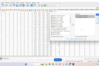do spss data analysis with apa report writing