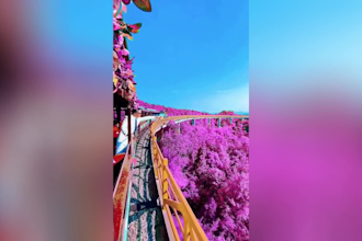 make you a 50 nature reels or short videos about nature