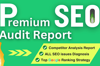 provide expert SEO audit report, competitor website analysis, best se0 strategy