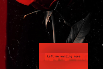 create an animated album cover for you