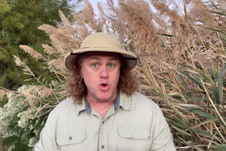 be the funny australian nature enthusiast