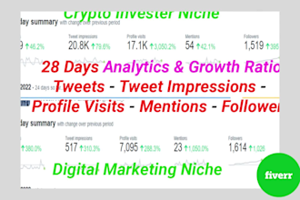 do fast promotion, organic growth of  your nft twitter page