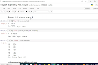 be your data analyst