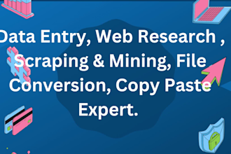 do data entry, web research, scraping and mining, file conversion, copy paste