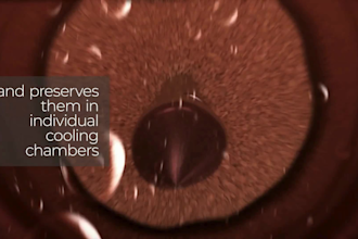 do 3d wine animation 3d vodka soda 3d bottle can  3d food 3d beverages animation