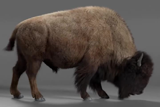 create realistic cgi animal creatures, 3d animal xgen fur, 3d animal animation