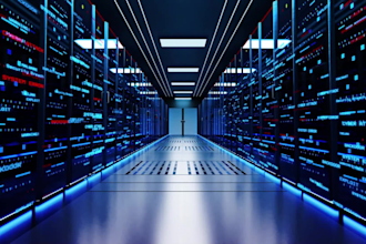 do data entry and data analyst project