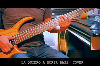 record bachata and more