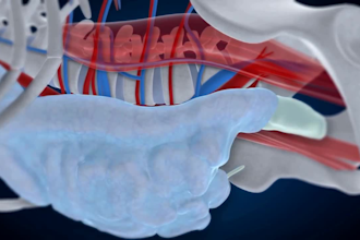 do 3d medical explainer video 3d medical animation 3d surgery human anatomy gym