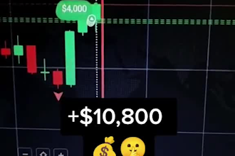 skyrocket mt5 mt4 account profitable account management with no loss mt5 account