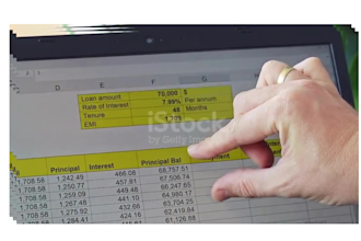 professionally clean and organize your data in excel or CSV