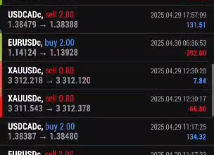 deliver you a profitable forex trading robot, gold ea, forex trading bot, ea bot