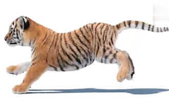 create realistic 3d animal animation, 3d animal rigging, 3d animal model cgi vfx