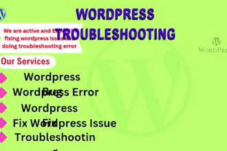 fix wordpress issues and do troubleshooting woocommerce error