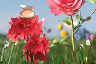 do 3d flower animation 3d plant animation 3d flower model 3d plant model