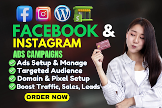 setup and manage facebook and instagram ads campaign