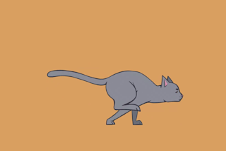 create a short looping 2d animation, turn around, pfp, twitch emotes, etc