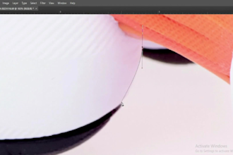do professional background removal service within a day