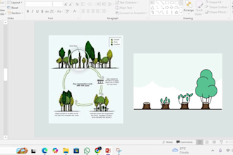 make suitable presentation for you