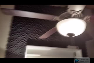 provide voice over narration or music to your mp4, 0r youtube video