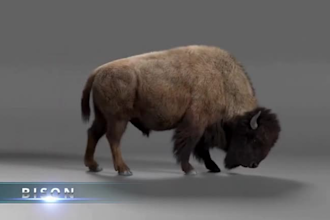 realistic fur 3d animal model animal animation  character animation for tv serie