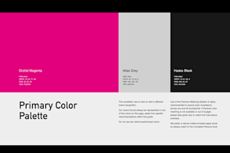create a sleek, modern brand guidelines that speak volumes