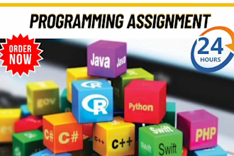 code scripts assignments in r python java c cpp programming projects